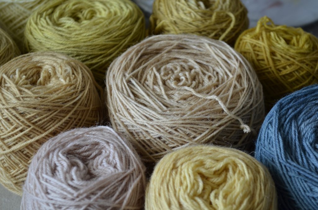 Assorted sock yarns dyed with different mushrooms, lichens or plants