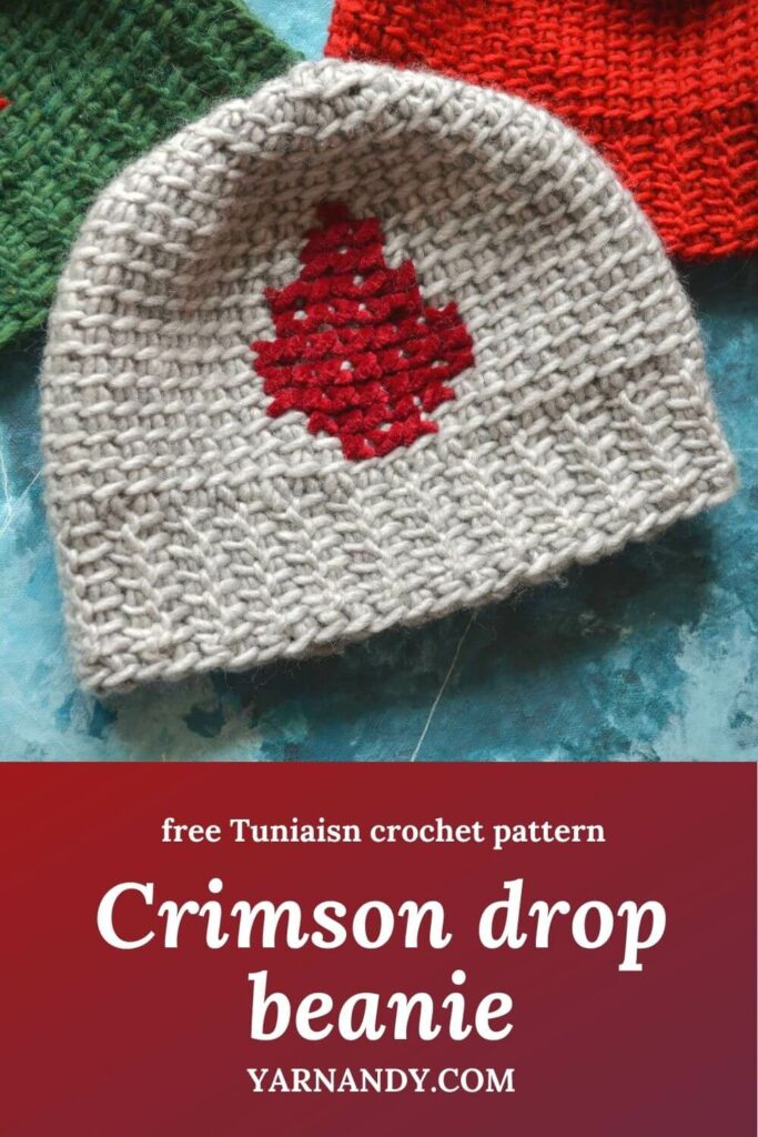 Tunisian Crochet Pattern: Geneva Beanie