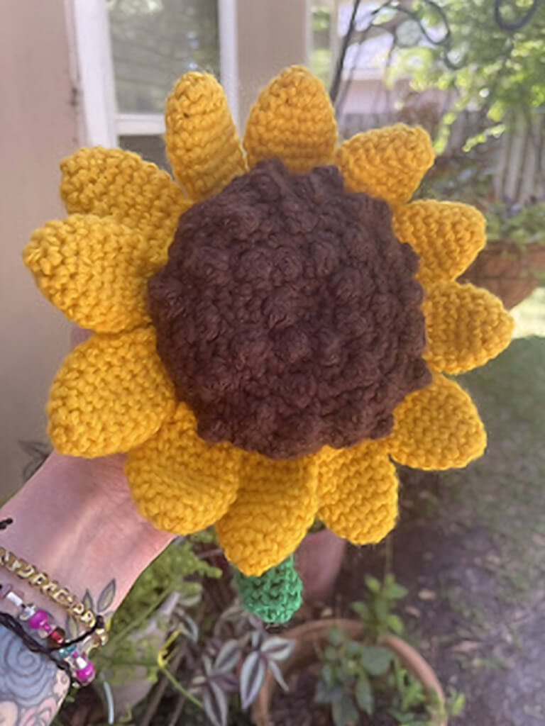1 ali sunflower