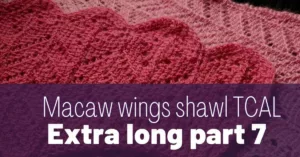 Cover photo Macaw wings shawl new part 7