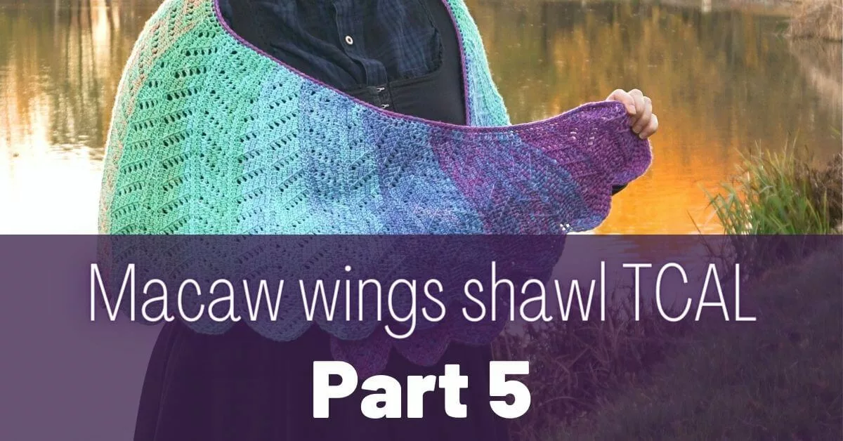 Cover photo Macaw wings shawl part 5 jpg