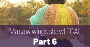 Cover photo Macaw wings shawl part 6