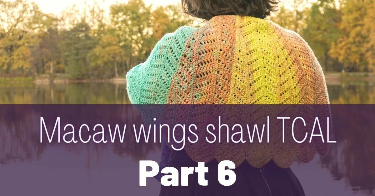Cover photo Macaw wings shawl part 6 jpg
