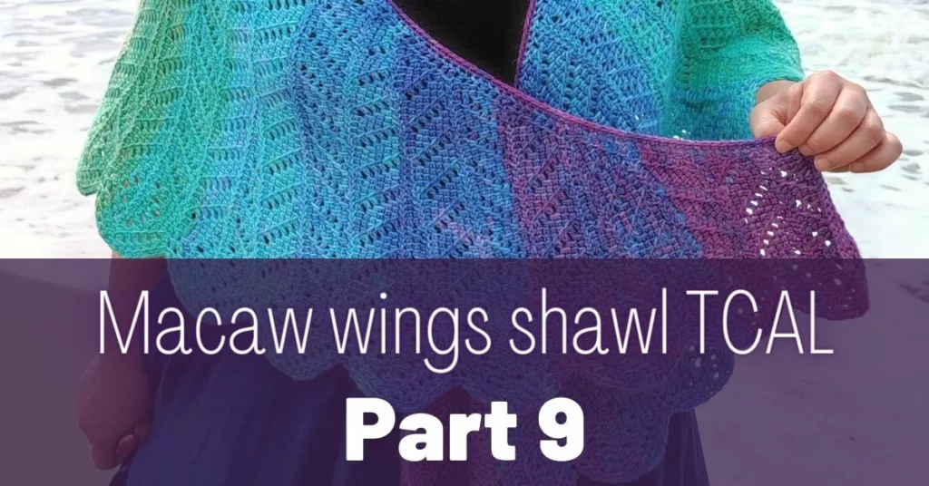 Cover photo Macaw wings shawl part 9