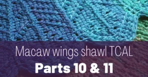 Cover photo Macaw wings shawl parts 10 and 11