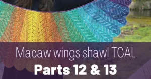 Cover photo Macaw wings shawl parts 12 and 13
