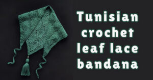 Cover photo Saragssosee bandana