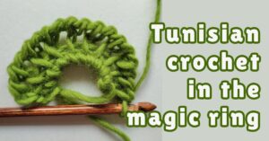 An open magic ring with two rows of Tunisian simple stitch and a Tunisian crochet hook. Text "Tunisian crochet in the magic ring"