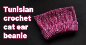Cover photo Tunisian crochet cat ear beanie 388p